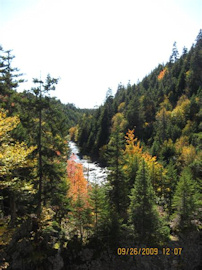 View from Forty-five Bridge window
