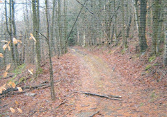 Hutchins Covered Bridge TH27
