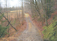 Hutchins Covered Bridge TH 27at Gibou Rd.